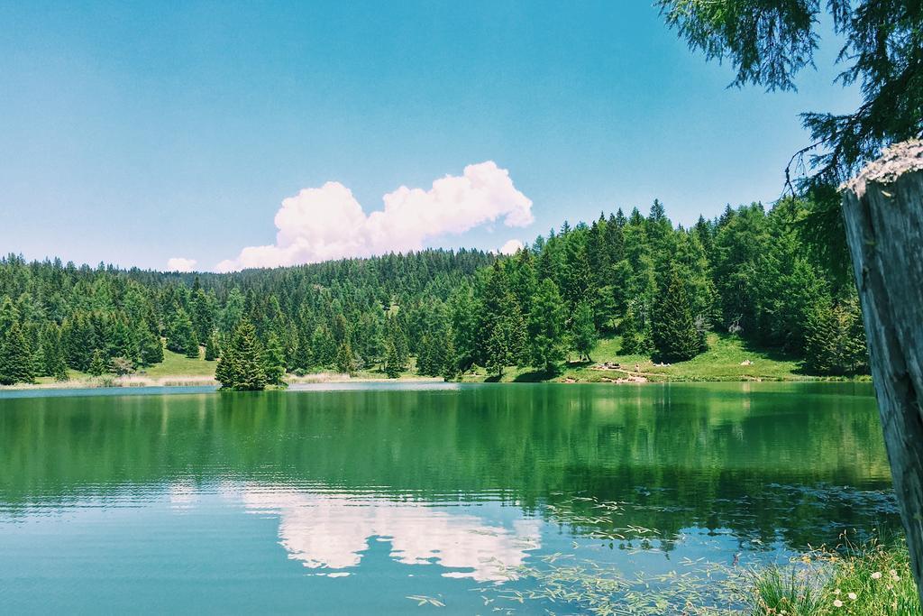 Berggasthof Pension Pfitscher Unsere Liebe Frau im Walde Exterior foto